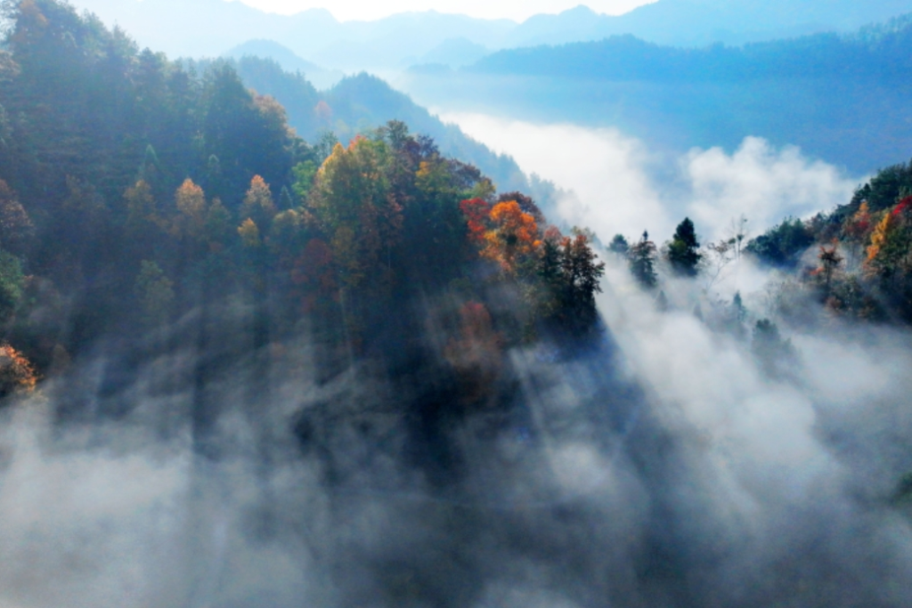 The mountains seem to be in a sea of clouds. (Photo provided by the Youyang Financial Media Center)