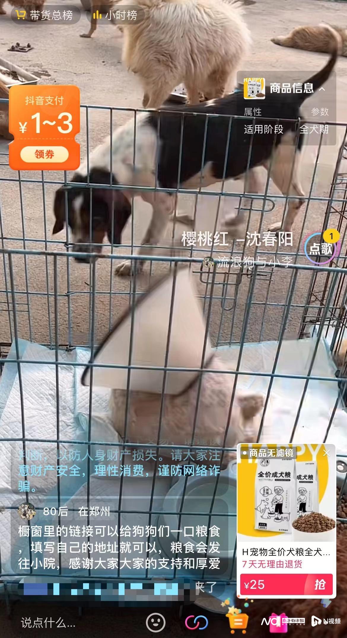 流浪狗直播骗局:录播循环放,爱心狗粮哪去了?一问就拉黑3