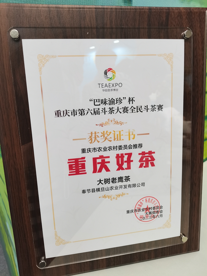 1 大树“夔山理”老鹰茶斩获2023年重庆市第六届斗茶大赛“重庆好茶”市级品牌茶美誉