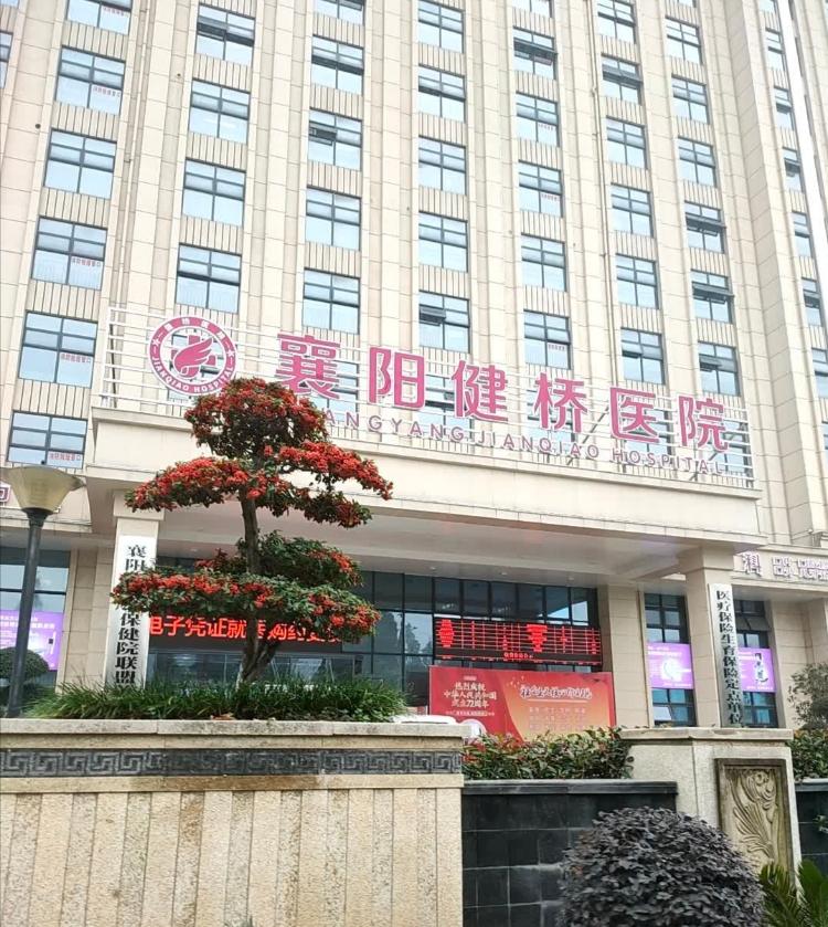 打拐志愿者举报医院院长倒卖出生证明 该院长曾获“最美巾帼奋斗者”称号1