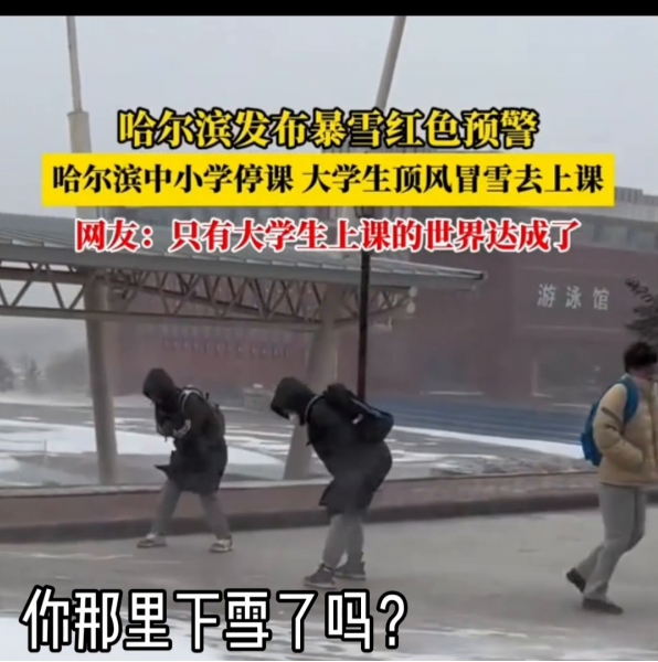 东北雪天出行还原“甄嬛去凌云峰” 东北大学生：暴雪天出门堪比取经4