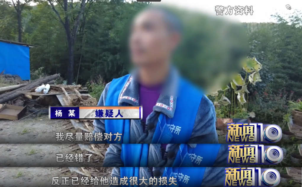 两男子偷价值4600余元胡蜂蜂巢被拘，用无人机追踪蜜蜂2
