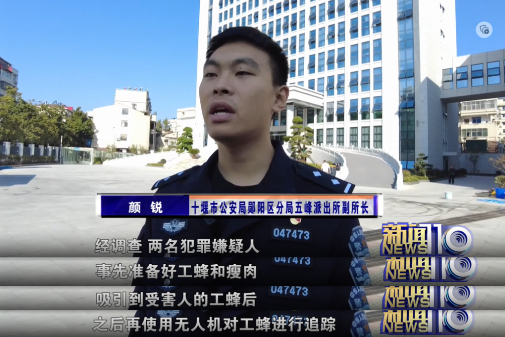 两男子偷价值4600余元胡蜂蜂巢被拘，用无人机追踪蜜蜂4