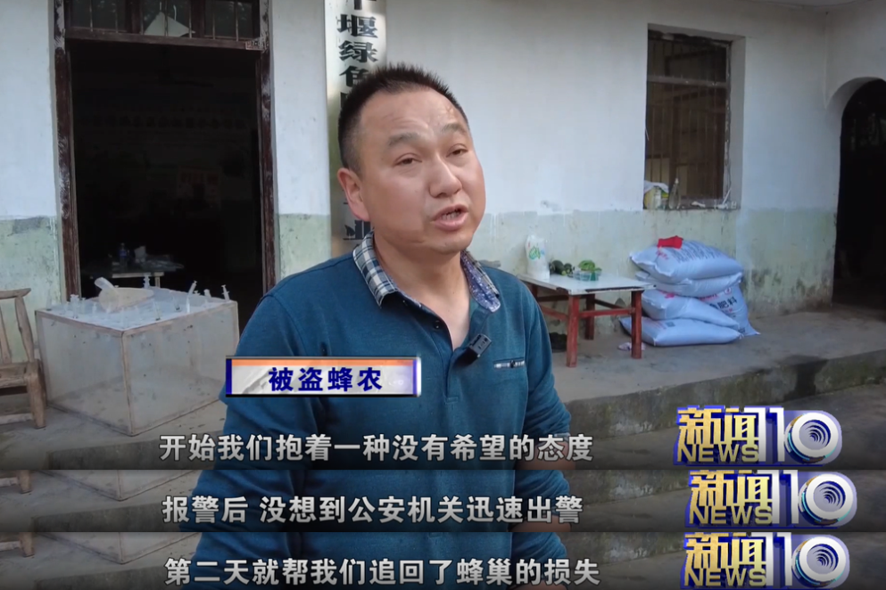 两男子偷价值4600余元胡蜂蜂巢被拘，用无人机追踪蜜蜂3