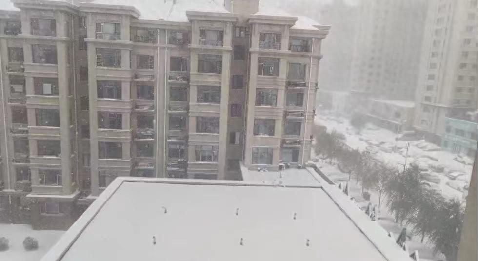 哈尔滨变成了“哈尔波特” 哈尔滨大雪中的索菲亚教堂太美了！3