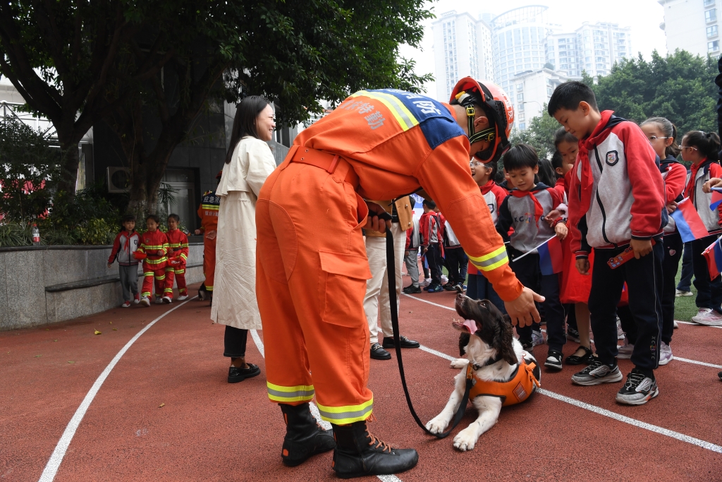 小伙伴们与消防搜救犬互动。江北消防供图