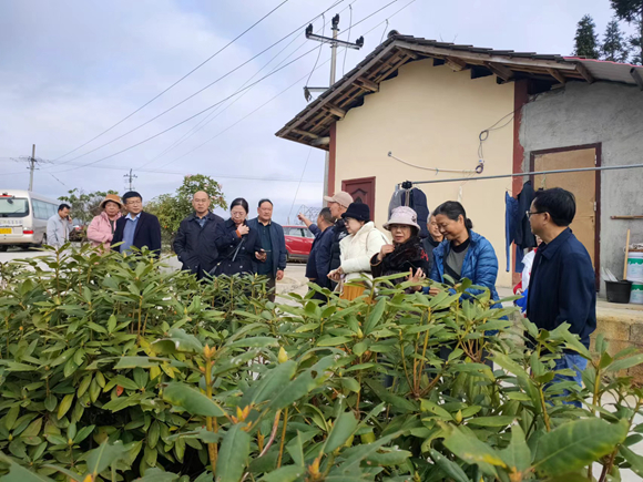 市散文学会组织作家开展“发现诗意仙女山  献策文旅融合路”采风活动