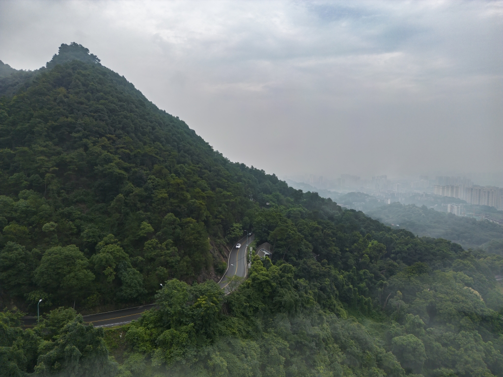 重庆歌乐山国家森林公园