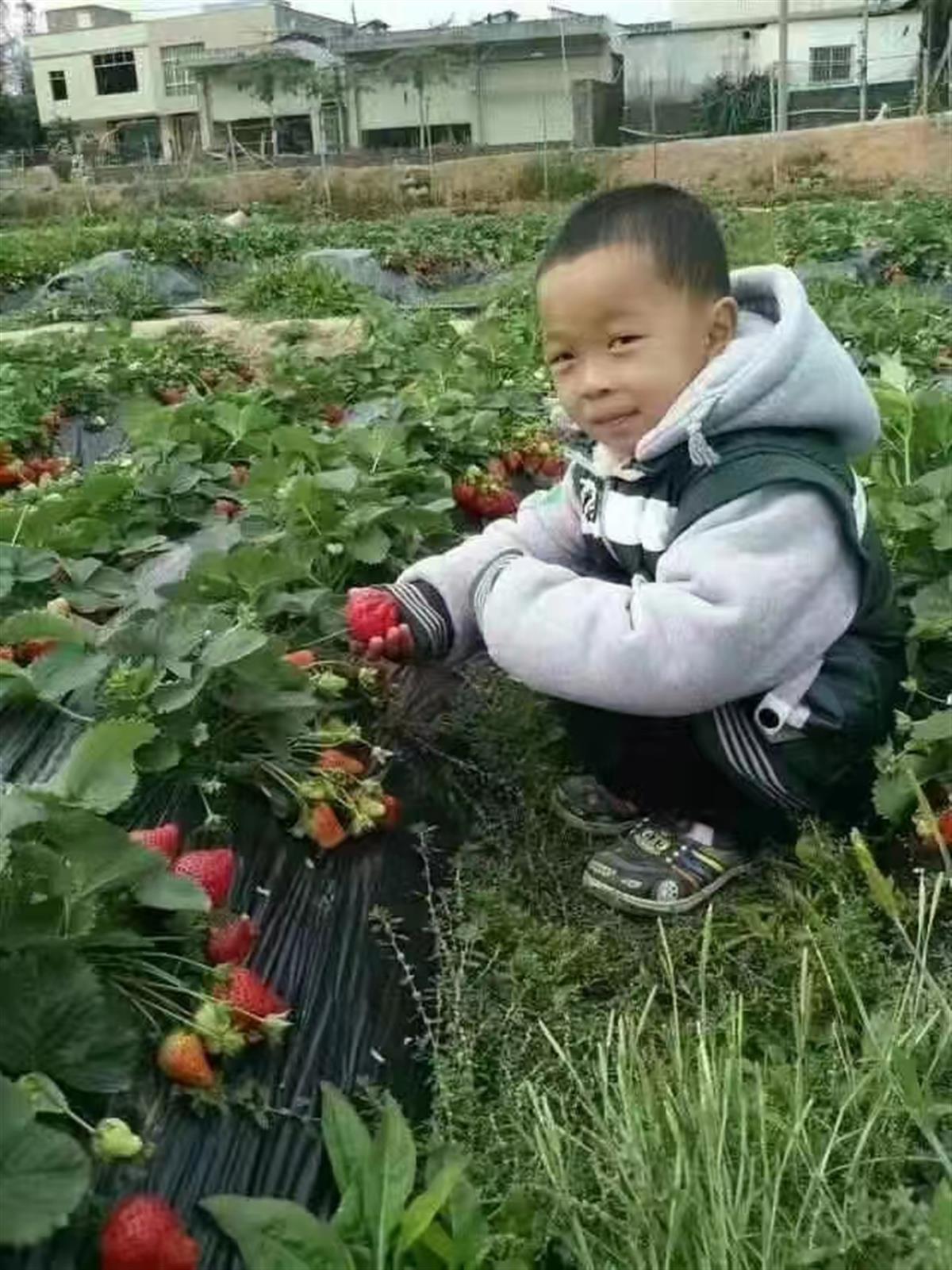 患癌母亲盼见失联八年的儿子最后一面：只要知道他好，就没遗憾了2