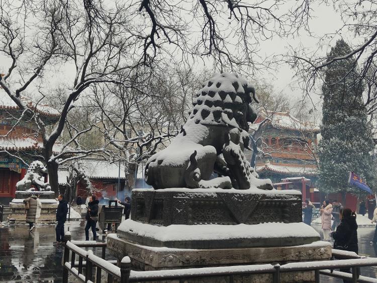 实拍北京今冬首场降雪 高速、高铁、航班、公交均受影响6