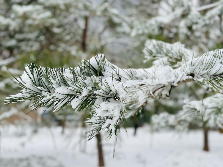 实拍北京今冬首场降雪 高速、高铁、航班、公交均受影响15