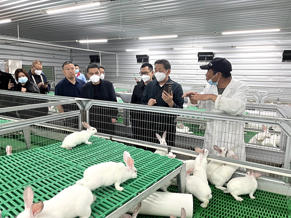 专家上门指导肉兔养殖。奉节县委主题教育办供图 华在网发