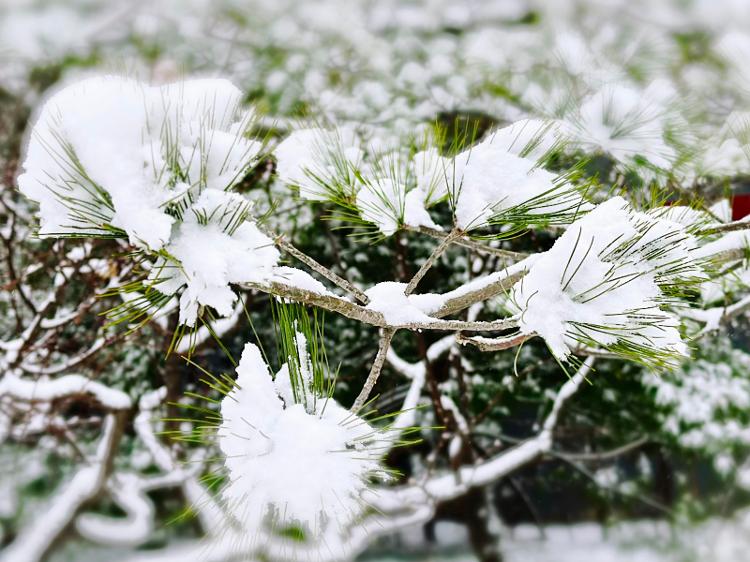 实拍北京今冬首场降雪 高速、高铁、航班、公交均受影响18