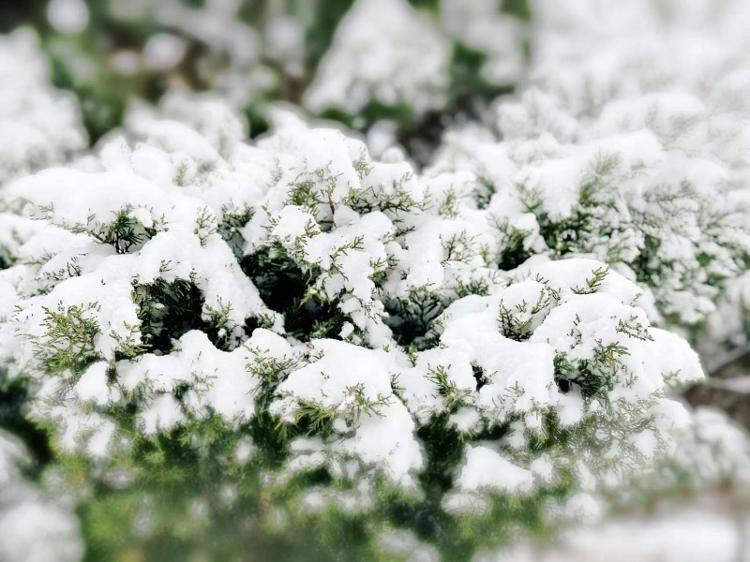 实拍北京今冬首场降雪 高速、高铁、航班、公交均受影响17
