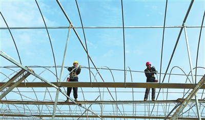 梁平区龙溪河蔬菜公园项目施工现场，工人在安装大棚钢架。