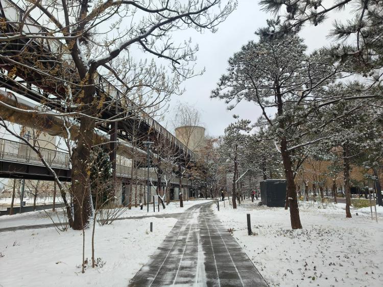 实拍北京今冬首场降雪 高速、高铁、航班、公交均受影响10
