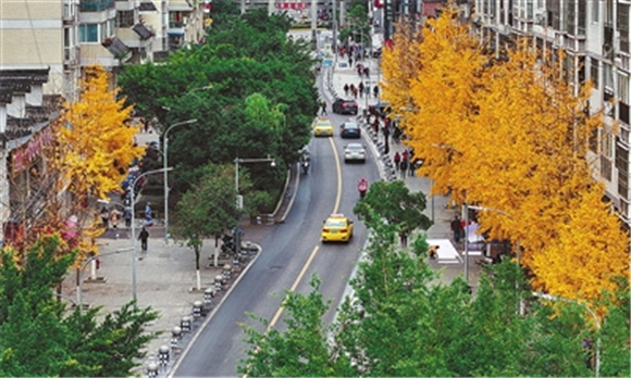 梁山街道乾街，金黄的银杏叶将街道点缀得热烈明快。记者 熊伟 摄