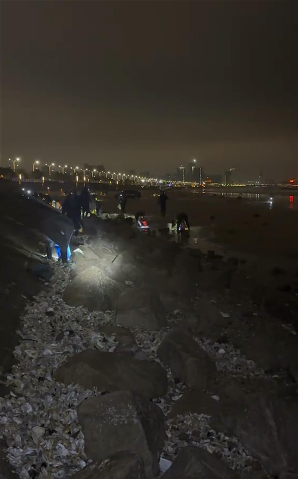 青岛一海滩大风过后海鲜遍地，市民：一个半小时捡了30斤，根本捡不完1