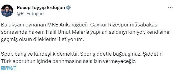 土超一俱乐部主席殴打裁判，土耳其总统埃尔多安发声指责5