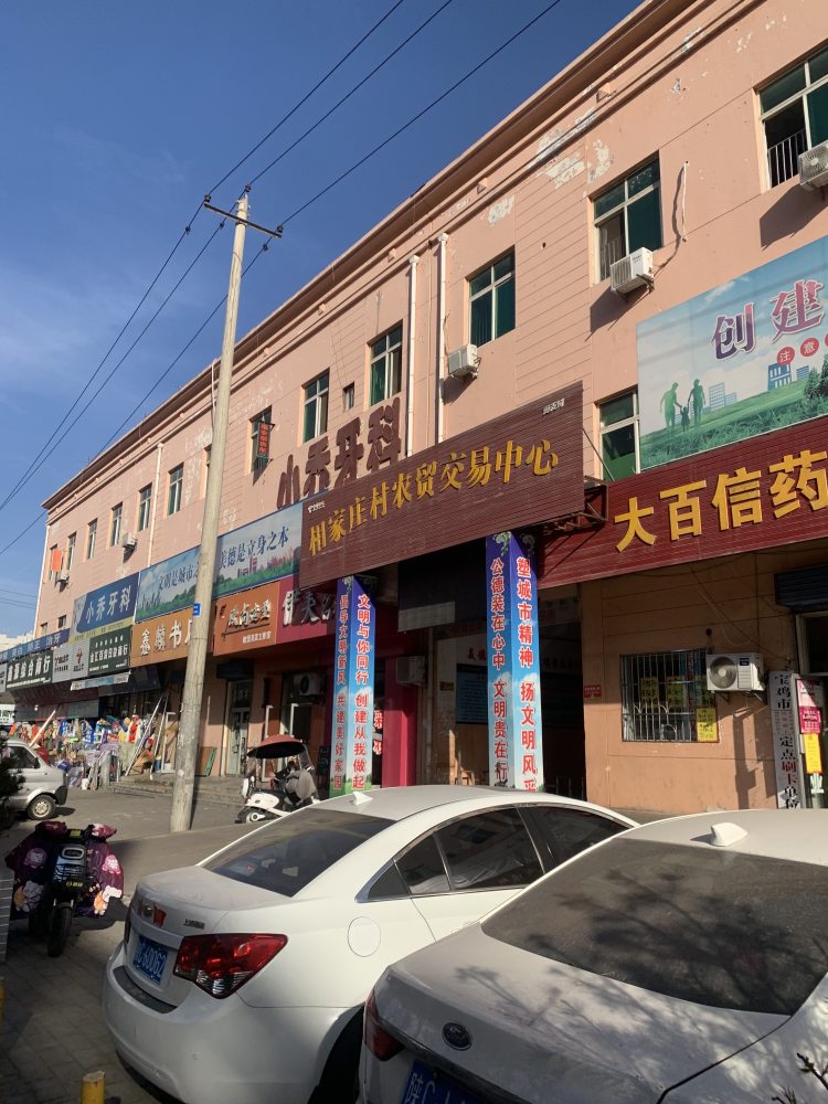 “千元激励红娘”的陕西相家庄村：村民年年分红家家盖楼，未婚男青年有40多个2