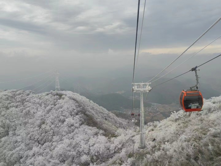 浙江一景区索道疑因大风突然停运，50余名游客被困缆车两小时后获救3