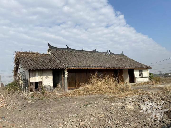 浙江一村庄寻宝者蜂拥而至！一堆手持金属探测仪的人跟在挖掘机后4