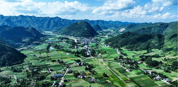 太平坝夏季烟田