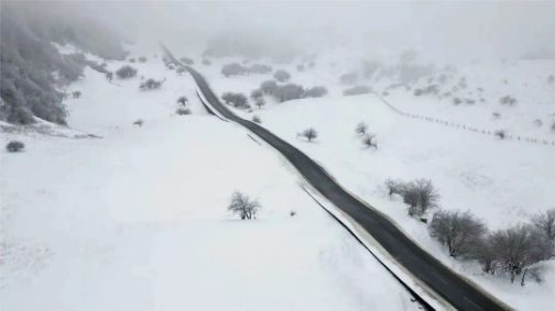 “南国雪原”上线。武隆喀斯特公司供图 华龙网发