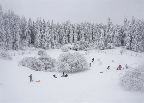 仙女山丰富的玩雪场景。武隆喀斯特公司供图 华龙网发