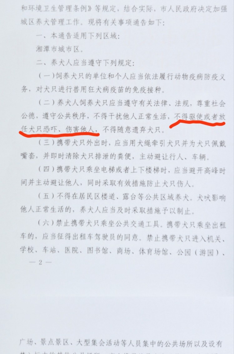 湖南一大黑狗死死咬住过路女子手臂，扫把打断都不松口2
