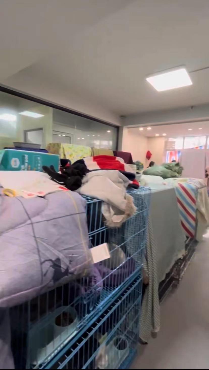 一辆运猫车在杭州被拦截，950余只猫已转运至宠物医院救助 当地派出所：相关部门正跟进处理2