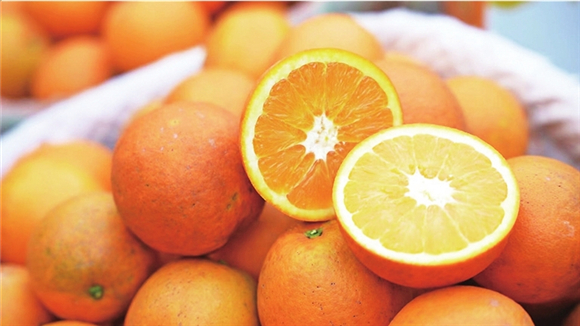 新鲜的柑橘。记者 胡瑾 王彦雪 摄
