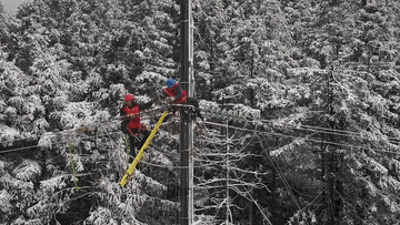 寒流中，他们挺身而出