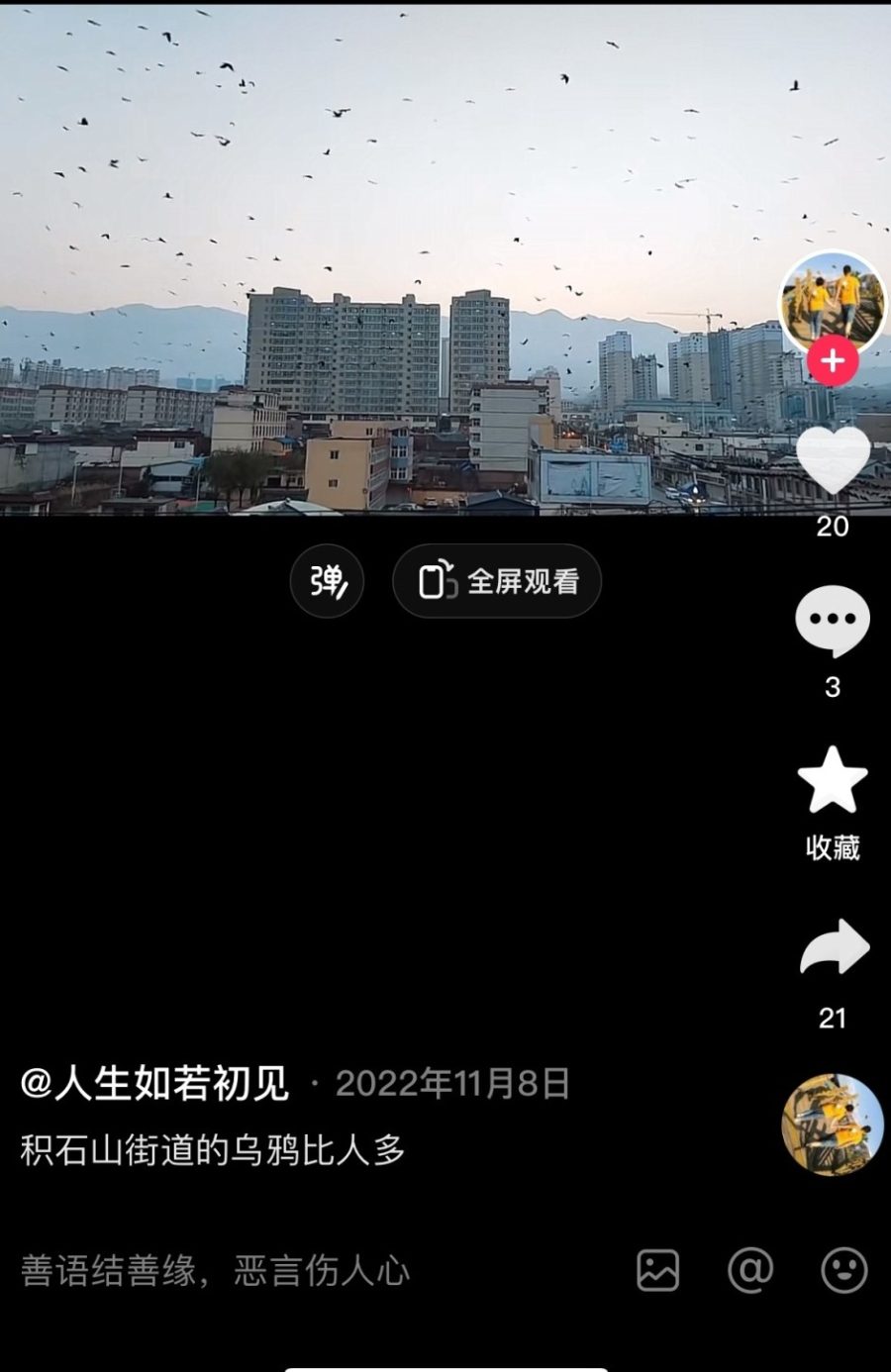 鸟群在天空盘旋是地震前兆？多地曾辟谣3