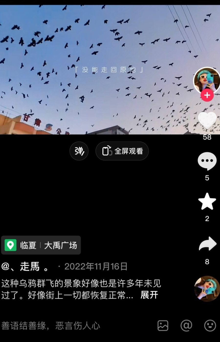 鸟群在天空盘旋是地震前兆？多地曾辟谣2