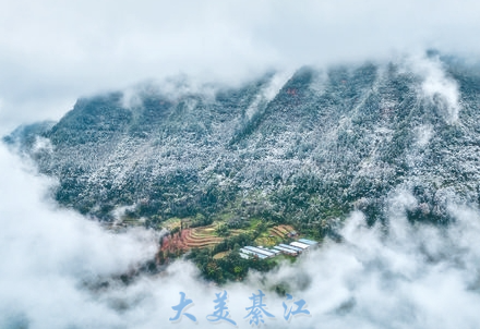 白雪覆盖森林，云雾萦绕山峦，呈现出如画般的“雪国”风光特约通讯员 王太椿 摄
