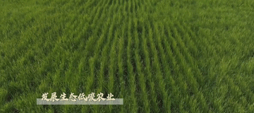 微视频｜建设有中国特色的农业强国4