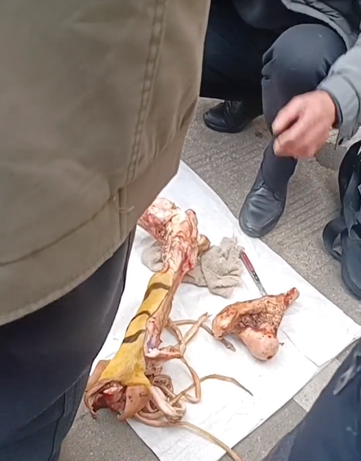 广西有人在菜市场卖老虎腿骨？警方：会通知相关部门核查