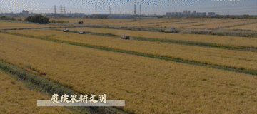 微视频｜建设有中国特色的农业强国5
