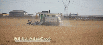 微视频｜建设有中国特色的农业强国2
