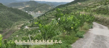 微视频｜建设有中国特色的农业强国3