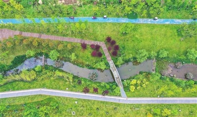 赤牛溪湿地公园，绿意盎然，小微湿地群串联成片，好似一幅画卷。 记者 熊伟 摄