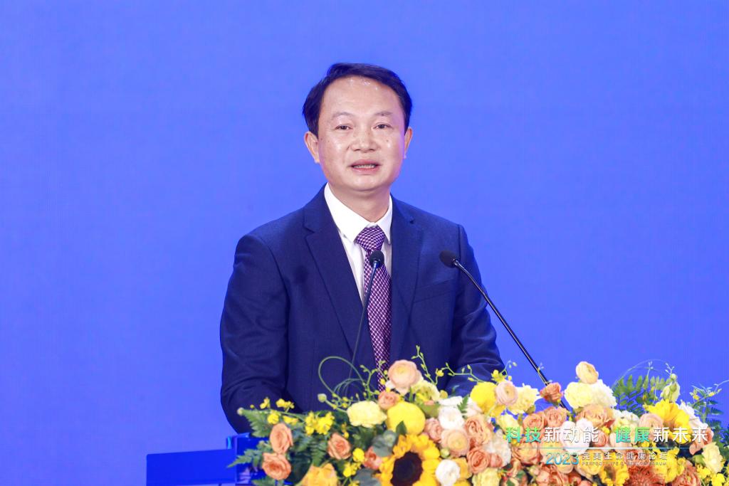 時尚婚禮服裝圖片（時尚結婚照片圖片大全）