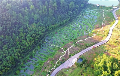 竹山镇猎神村，青山环绕的小微湿地群。 记者 向成国 摄