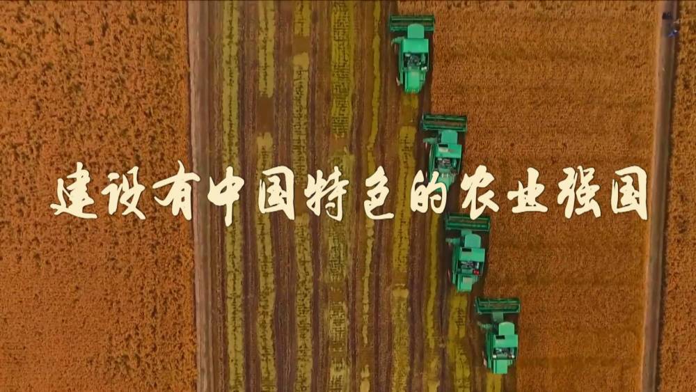 微视频｜建设有中国特色的农业强国7