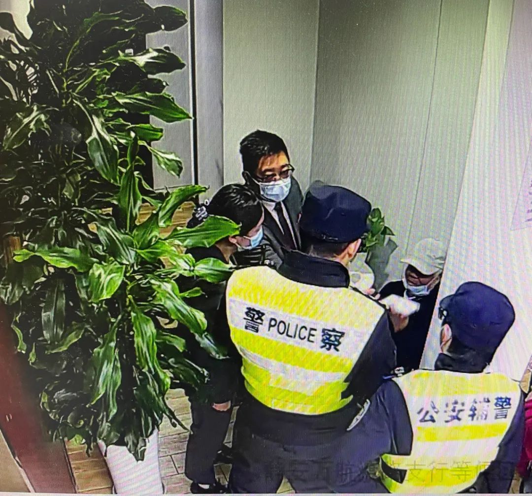 八旬老人沉溺“假冒董卿”温柔乡，一声“好哥哥”让他多次转账支持“董妹”创业……1