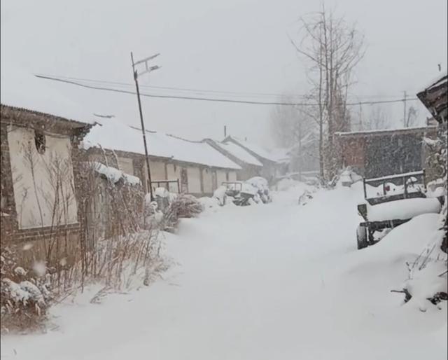 烟台威海遭遇极端性冷流暴雪，网友：宛如北极科考！2