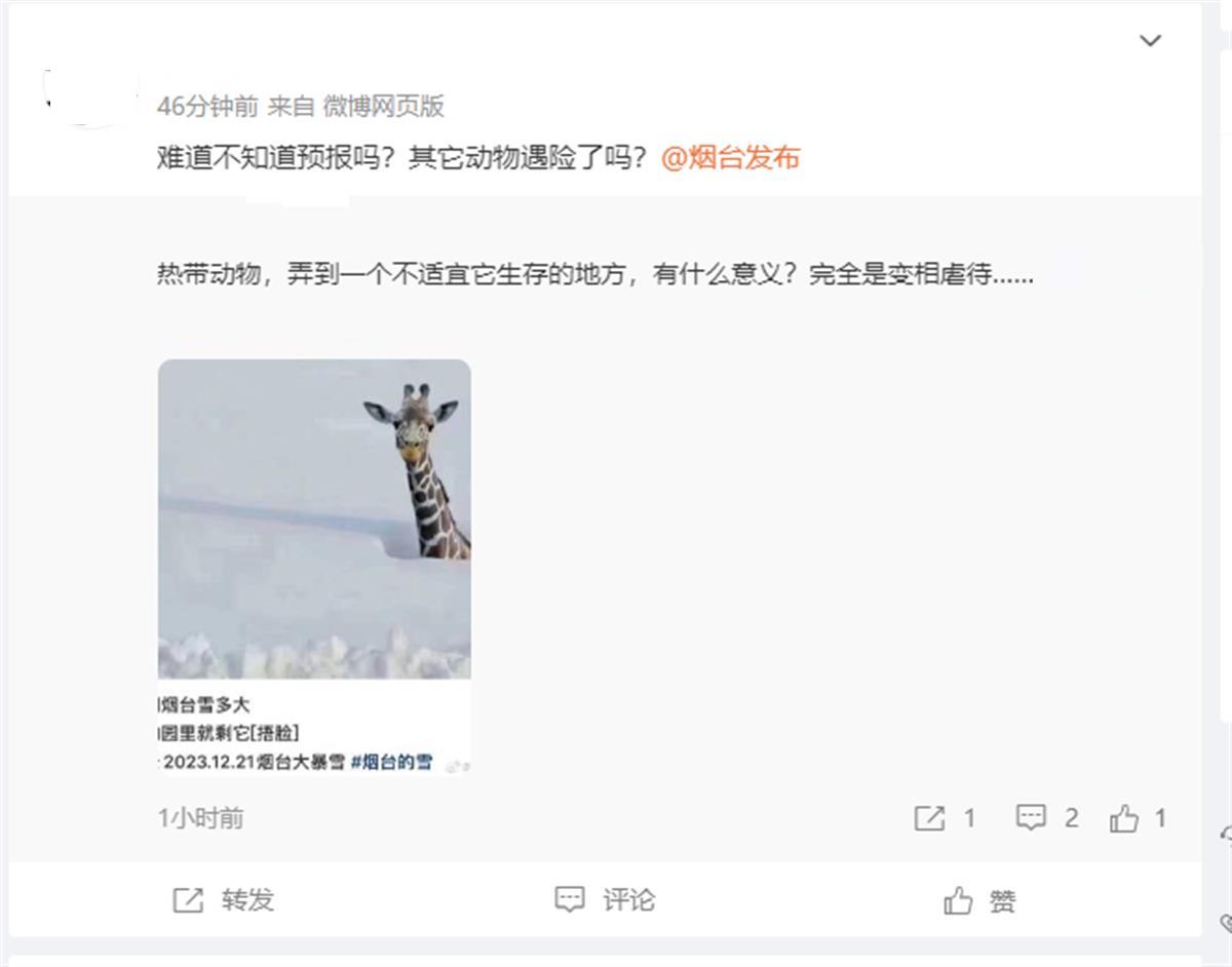 烟台成“雪窝子”,动物园只剩长颈鹿露个头?园方澄清:它早已躲进暖气房2