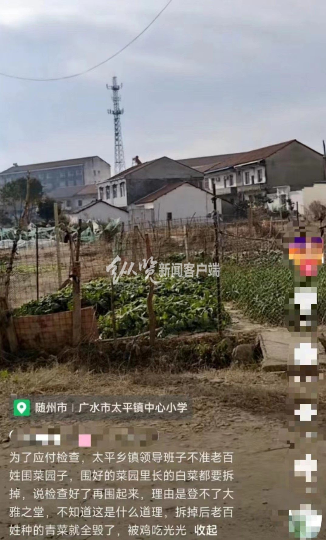 湖北一镇政府要拆村民屋后菜园称“难登大雅之堂”？社区：系误解，是推进人居环境整治进行统一规划