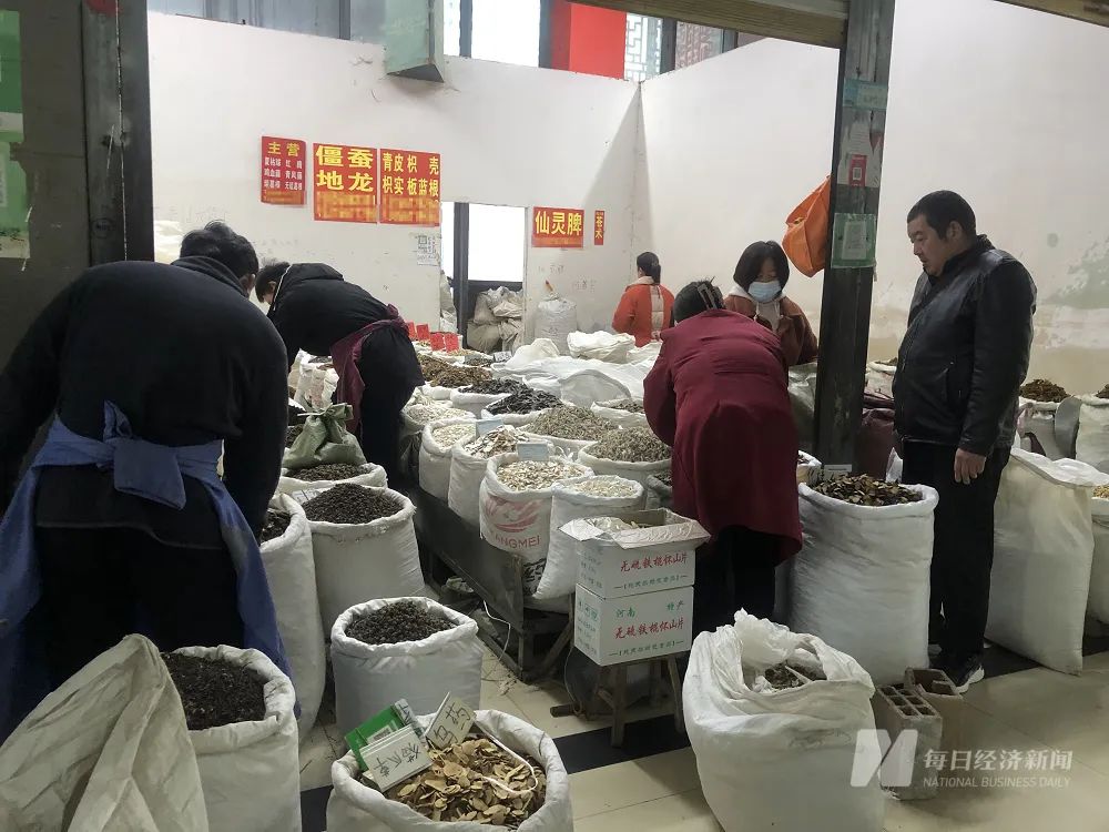 突然大降价，一公斤从300元降到55！经营户愁眉不展，这种中药材“谁囤货谁赔钱”6